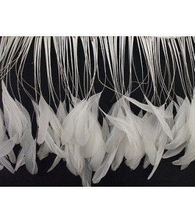 PLUMES D'ANTENNE DE COQ 1ÈRE QUALITÉ - 10 CMS.