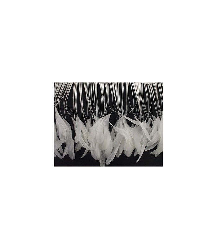 PLUMES DE COQ. RUBAN PREMIÉRE QUALITÉ  - 10 CMS.