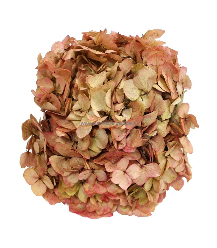 BOUQUET HORTENSIA PRÉSERVÉE