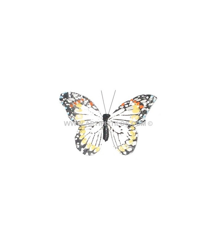 PAPILLON EN PLUMES