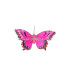 PAPILLON EN PLUMES