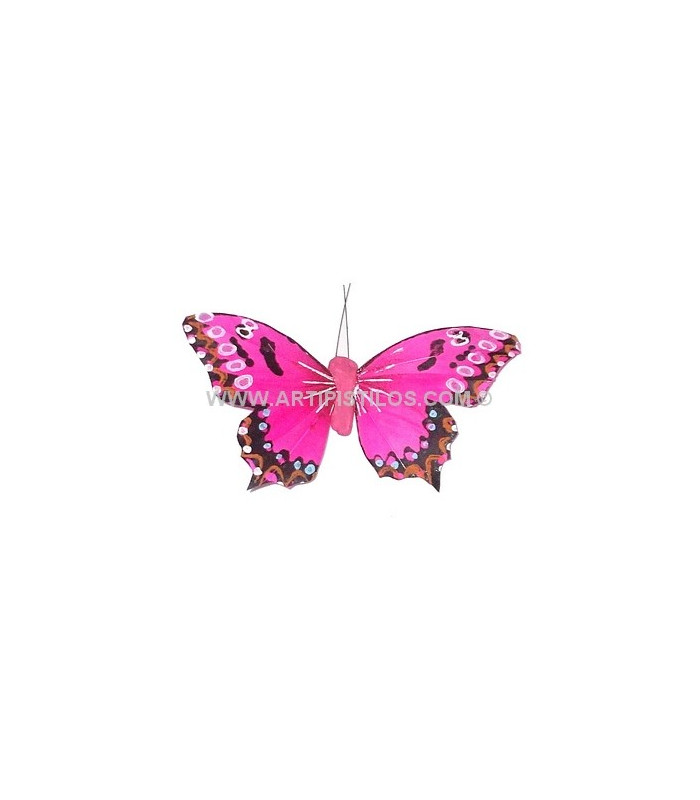 PAPILLON EN PLUMES