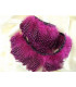 PLUMES DE POULE DE GUINÉE 10 CMS.