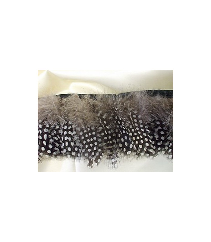 PLUMES DE POULE DE GUINÉE 10 CMS.