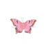 PAPILLON EN PLUMES