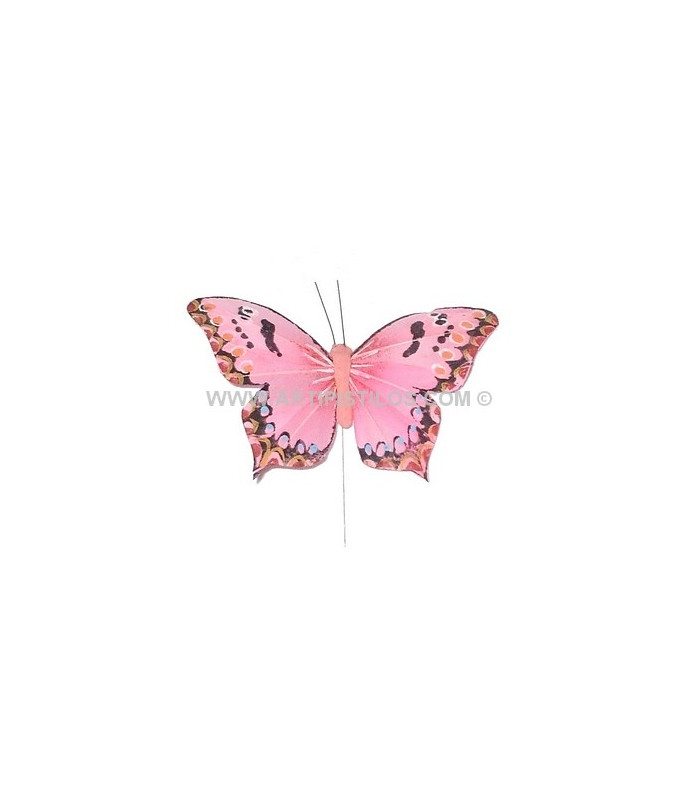 PAPILLON EN PLUMES