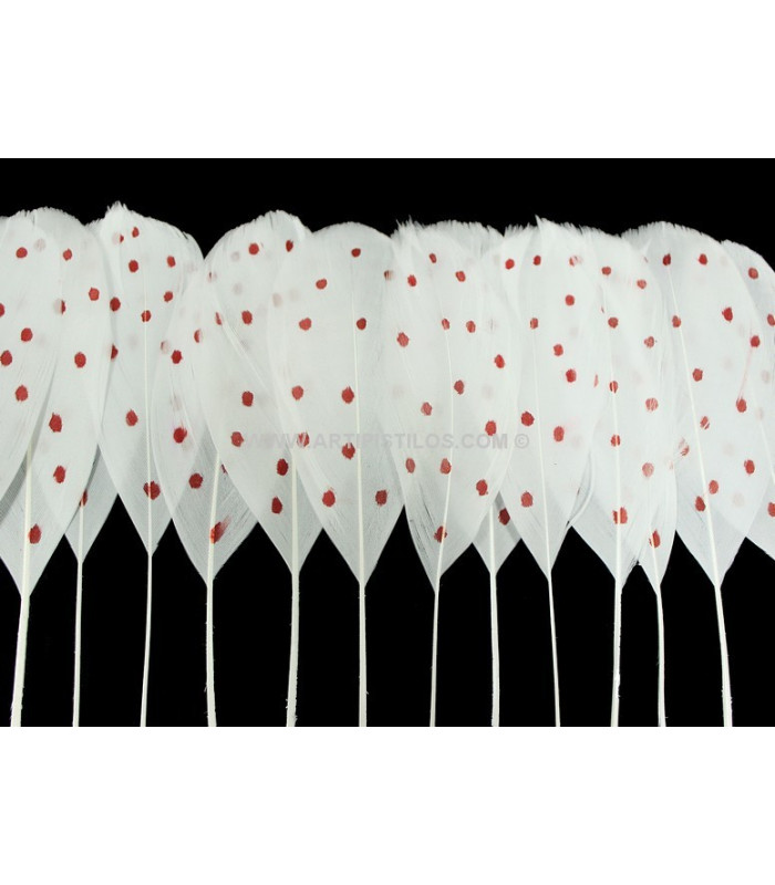 FRANGE DE PLUMES DE CANARD À POIS 25 CMS.