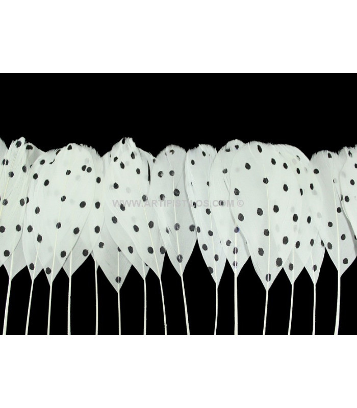 FRANGE DE PLUMES DE CANARD À POIS 25 CMS.