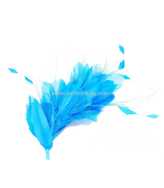 MONTAGE DE PLUMES