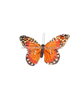 PAPILLON EN PLUMES