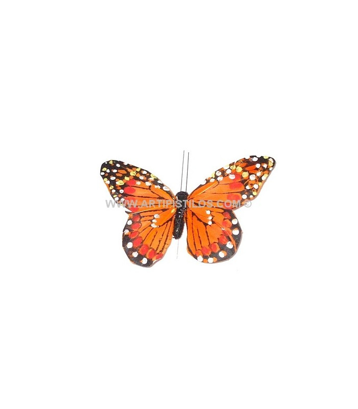 PAPILLON EN PLUMES