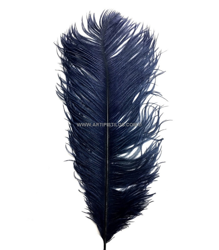PLUME D´AUTRUCHE PREMIÈRE QUALITÉ 50-55 CMS.