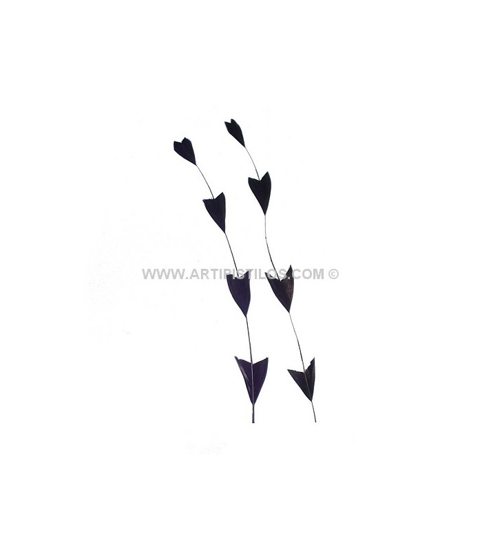 PLUME DÉCOUPÉE ARROW BICOLORE 28 CMS.
