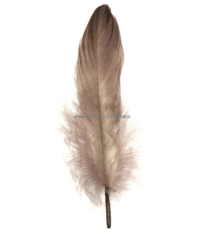PLUME DE CANARD 15 CMS.