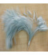 MONTAGE PLUMES DE COQ