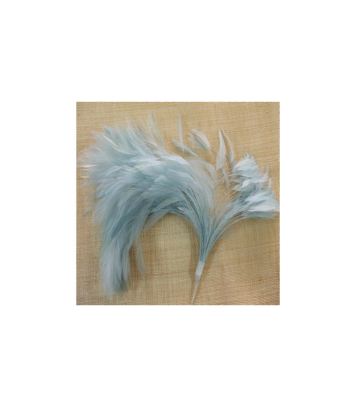 MONTAGE PLUMES DE COQ