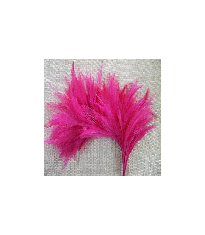 MONTAGE PLUMES DE COQ