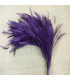 MONTAGE PLUMES DE COQ