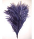 MONTAGE PLUMES DE COQ
