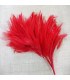 MONTAGE PLUMES DE COQ