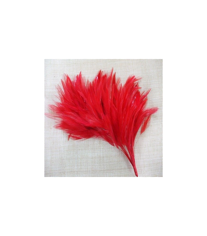 MONTAGE PLUMES DE COQ