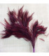 MONTAGE PLUMES DE COQ
