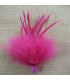 MONTAGE PLUMES D´OIE BIOT/MARABU