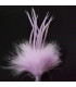 MONTAGE PLUMES D´OIE BIOT/MARABU