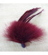 MONTAGE PLUMES D´OIE BIOT/MARABU