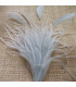 MONTAGE PLUMES D´AUTRUCHE/COQ