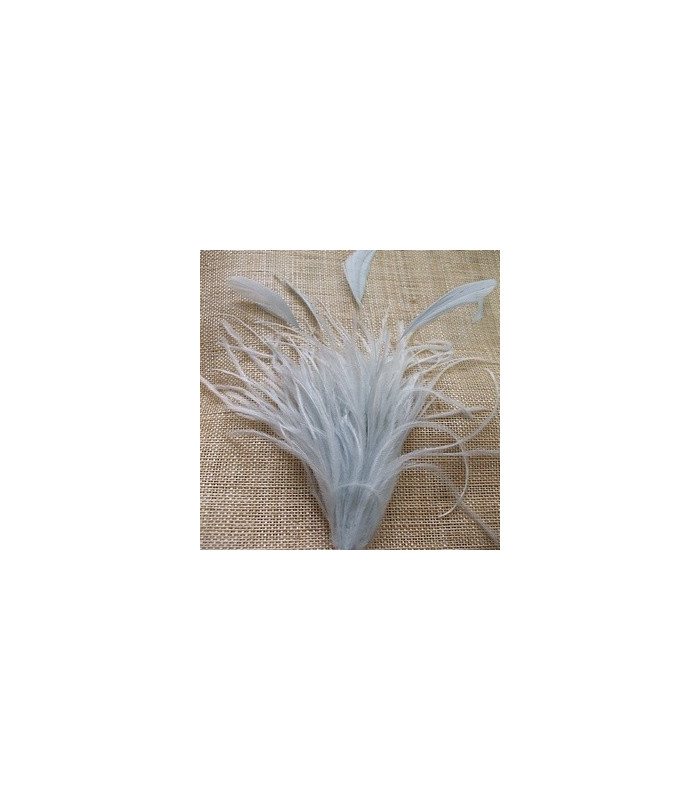 MONTAGE PLUMES D´AUTRUCHE/COQ