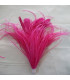 MONTAGE PLUMES D´AUTRUCHE/COQ