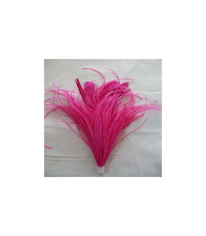 MONTAGE PLUMES D´AUTRUCHE/COQ