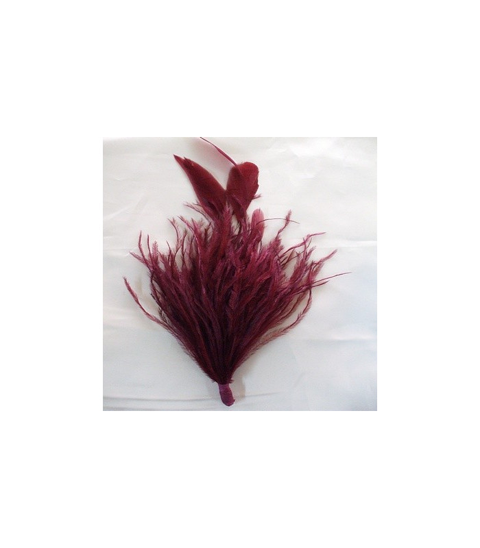 MONTAGE PLUMES D´AUTRUCHE/COQ