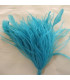 MONTAGE PLUMES D´AUTRUCHE/COQ