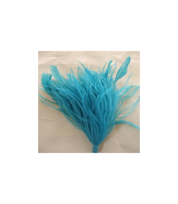 MONTAGE PLUMES D´AUTRUCHE/COQ