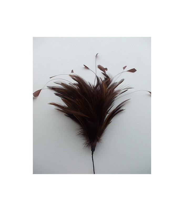 BOUQUET PLUMES DE COQ