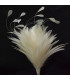 BOUQUET PLUMES DE COQ