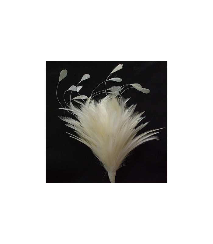 BOUQUET PLUMES DE COQ