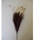 BOUQUET PLUMES DE COQ