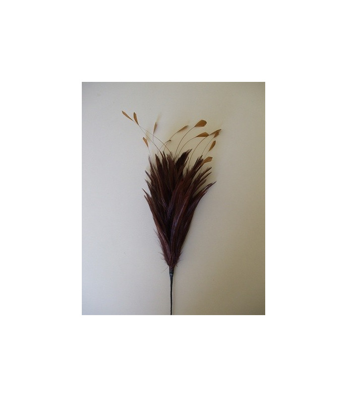 BOUQUET PLUMES DE COQ