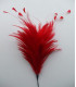 BOUQUET PLUMES DE COQ