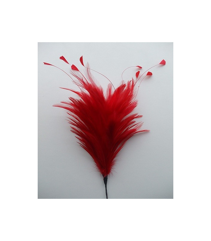 BOUQUET PLUMES DE COQ