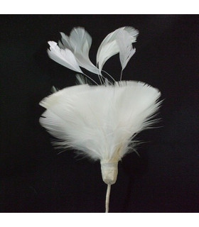 MONTAGE PLUMES DE JARS/ANTENNE DE COQ