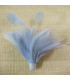 MONTAGE PLUMES DE JARS/ANTENNE DE COQ