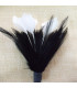 MONTAGE PLUMES DE JARS/ANTENNE DE COQ