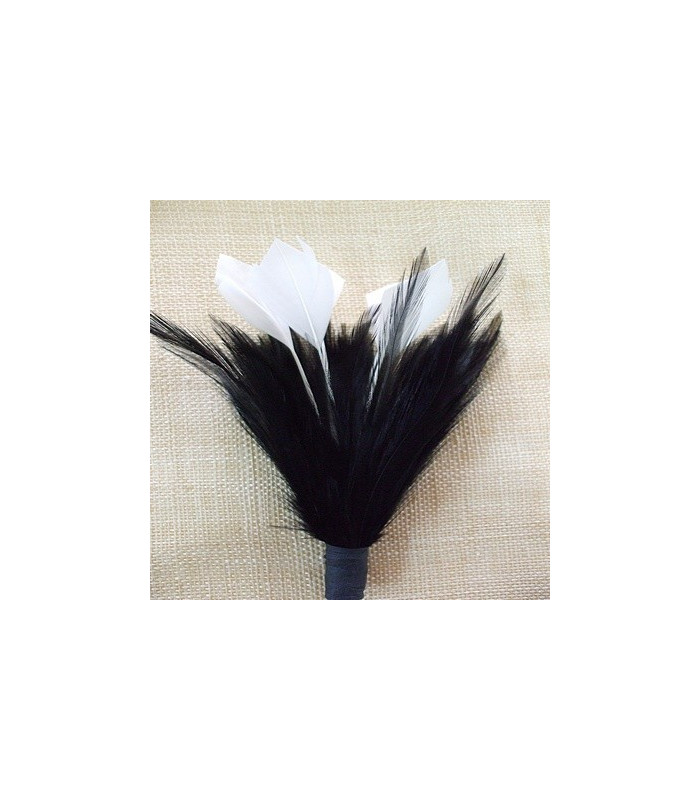 MONTAGE PLUMES DE JARS/ANTENNE DE COQ