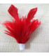 MONTAGE PLUMES DE JARS/ANTENNE DE COQ