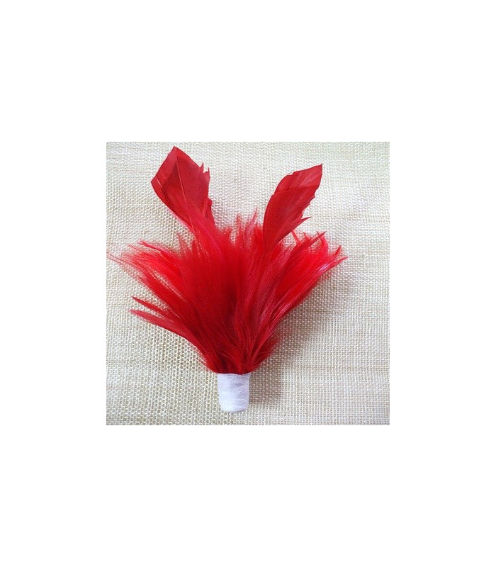 MONTAGE PLUMES DE JARS/ANTENNE DE COQ