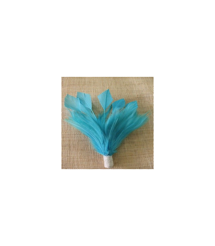 MONTAGE PLUMES DE JARS/ANTENNE DE COQ